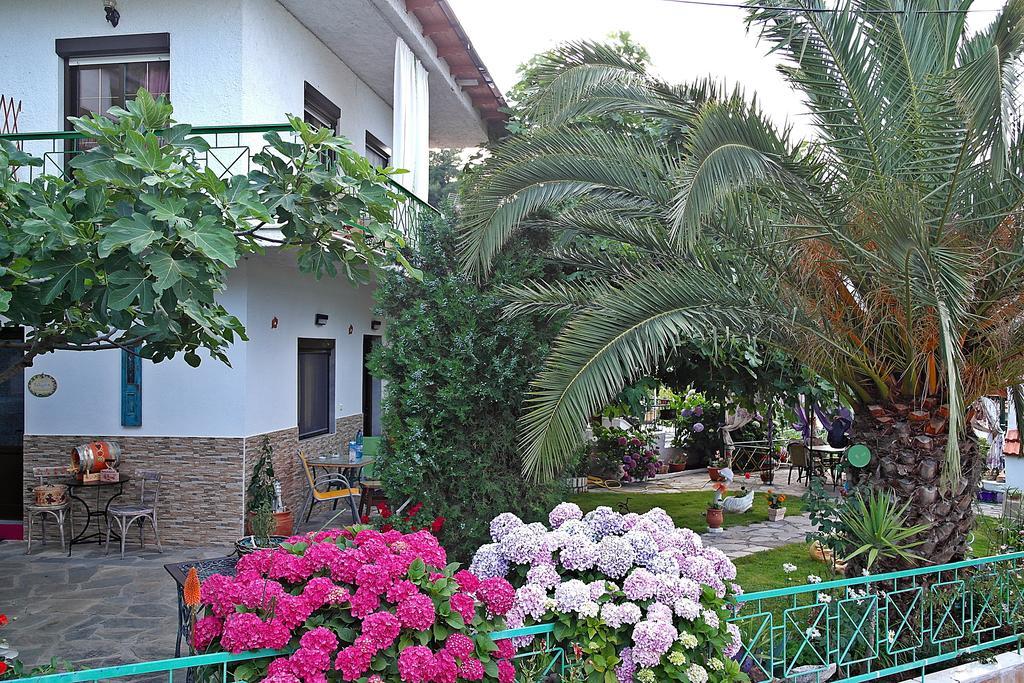 Studios Ifigenia Skala Potamia  Extérieur photo