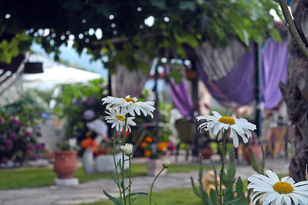 Studios Ifigenia Skala Potamia  Extérieur photo